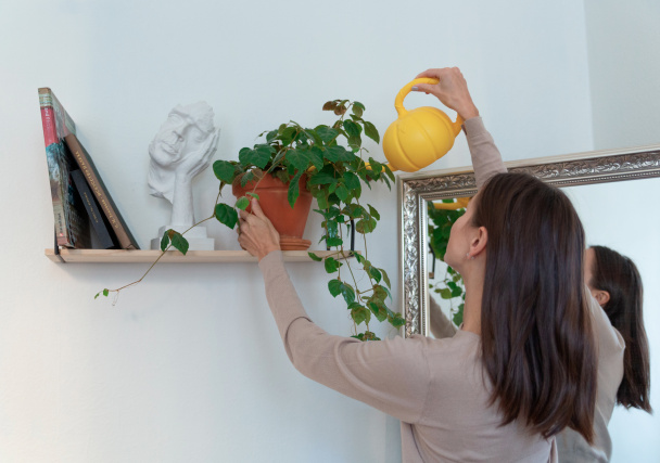 Социально-бытовые услуги