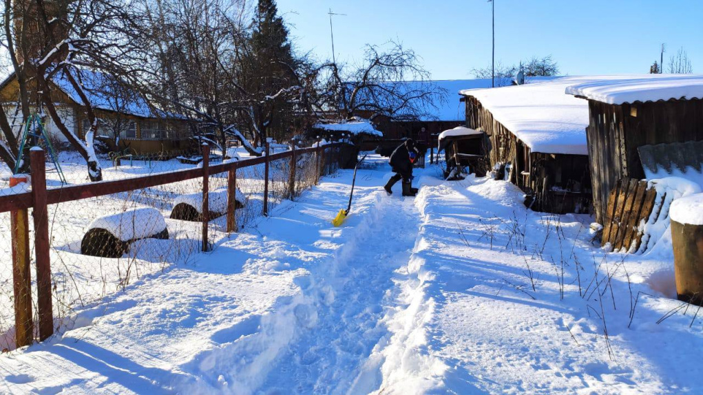 Помогаем Ольге Дмитриевне