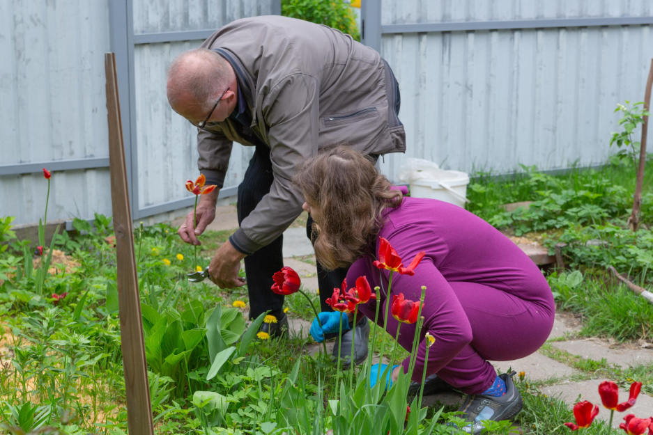 Помогаем Анне Васильевне