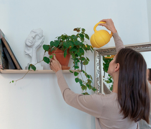 Социально-бытовые услуги