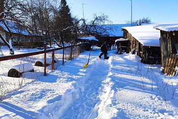 Помогаем Ольге Дмитриевне